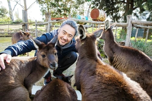 澳大利亚旅游局2017“中澳旅游年”形象大使吴秀波 _澳大利亚家庭之旅_04s