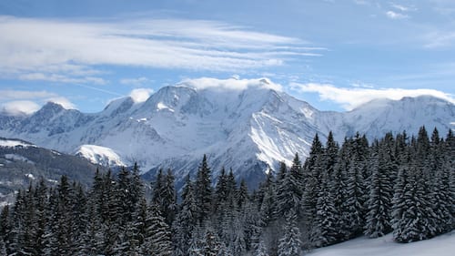 mont blanc and firs