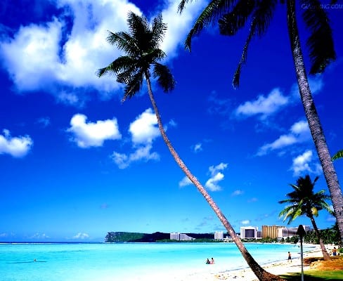 关岛慈善拉飞机比赛展现企业团队合作