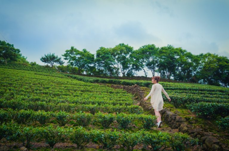 台湾新北市宣传小镇旅游 吸引旅客深度探访台湾 | TTG China