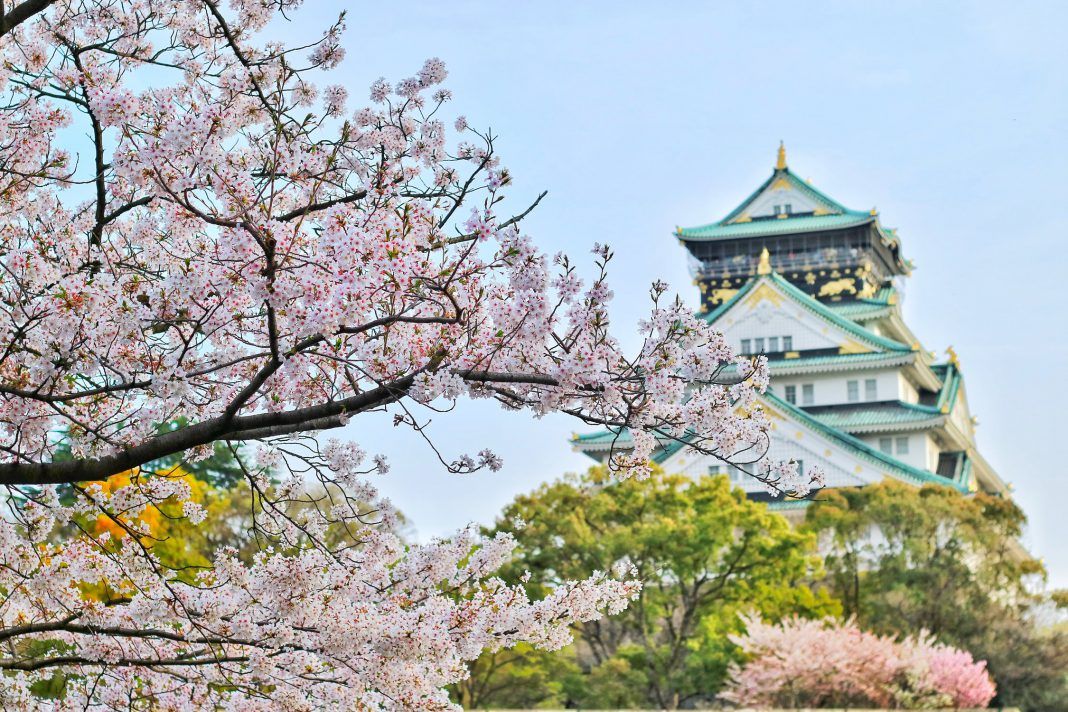 时隔两年 日本旅游公司重启出境游业务