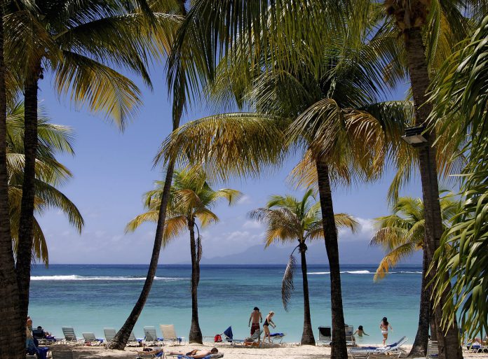 20072566 Plage de Guadeloupe avec les palmiers et touristes sur des transats © Atout France Eric Larrayadieu