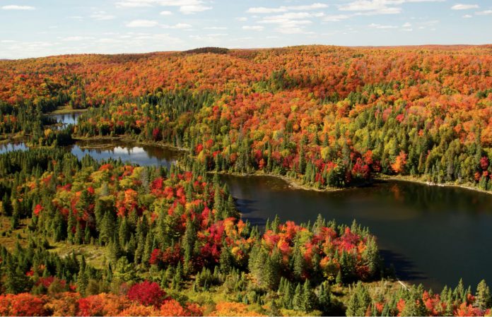 Algonquin Provincial Park, Ontario
