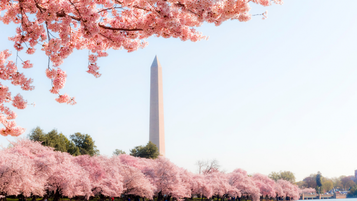 12858c80bbc0798585728fead4017d9e