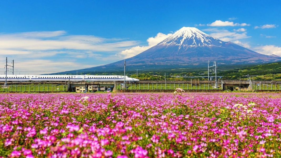 众信:五一黄金周国内及出境游“双向增长”