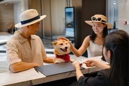 希尔顿集团打造宠物友好新体验 覆盖吃住行玩