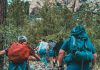 过度旅游侵蚀康养价值 需系统性实现修复与再生